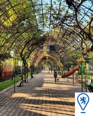 Photography in Santiago: Iconic places to capture the essence of life